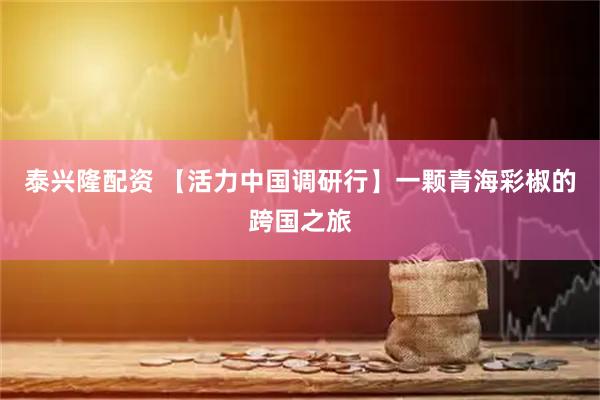 泰兴隆配资 【活力中国调研行】一颗青海彩椒的跨国之旅