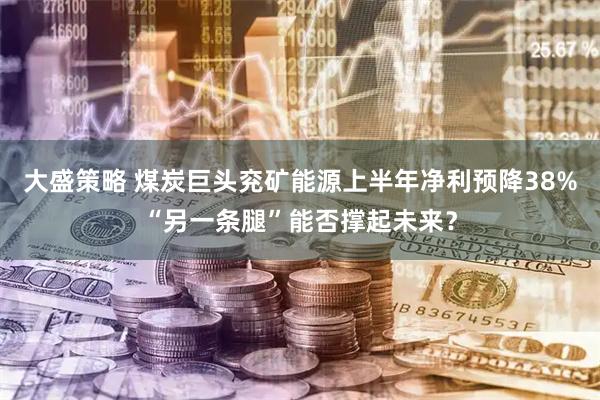 大盛策略 煤炭巨头兖矿能源上半年净利预降38%“另一条腿”能否撑起未来？