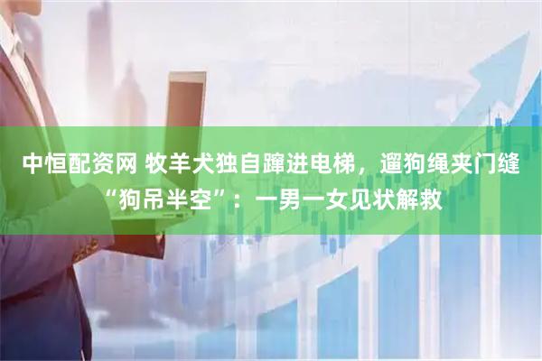 中恒配资网 牧羊犬独自蹿进电梯，遛狗绳夹门缝“狗吊半空”：一男一女见状解救
